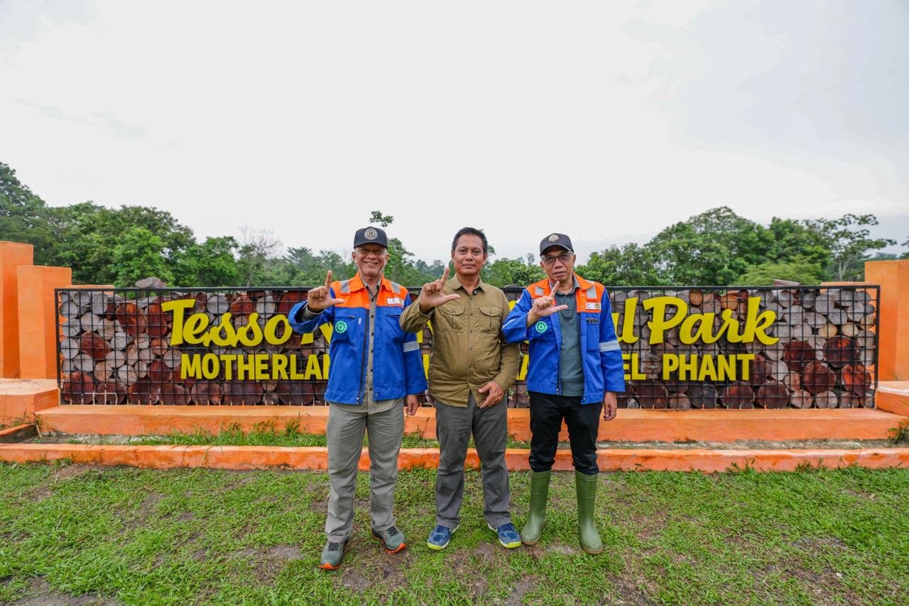 PT BSP Tuntaskan Rehabilitasi DAS Seluas 772 Hektare di Taman Nasional Tesso Nilo