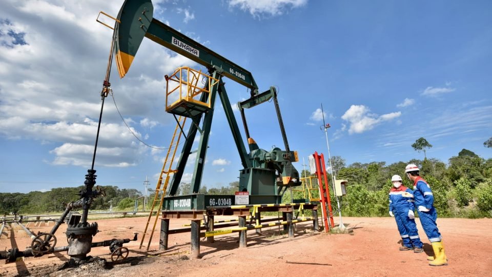 Begini Jurus Pemerintah Genjot Produksi dari Sumur Minyak Tua